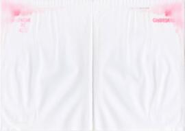 Letra da canção "Eu vi este povo a lutar (Confederação)"