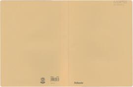 O Estrangeiro em Casa - 1990 (R. Demarcy)