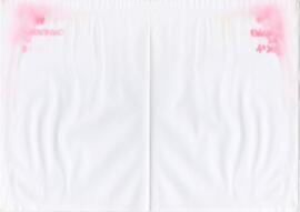 Excerto de letra da canção "Emigrantes da 4ª dimensão"