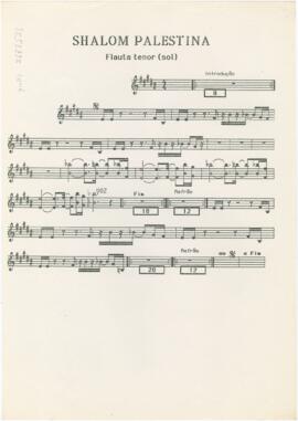Parte de flauta tenor da canção "Shalom Palestina"